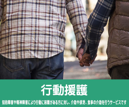 行動援護